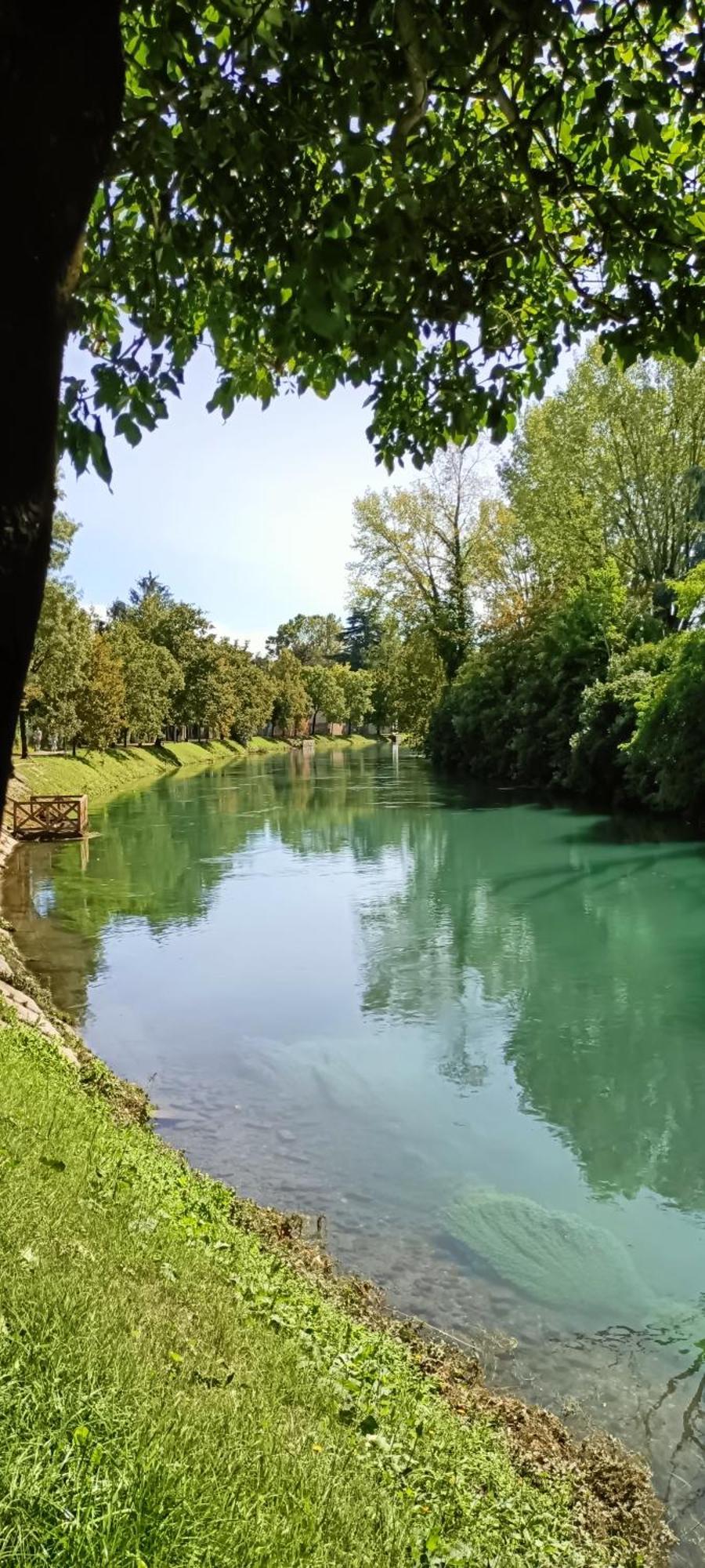 Apartament Amalteo 3 Treviso Zewnętrze zdjęcie